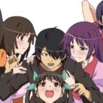 ordine anime monogatari