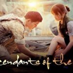 Descendants of the Sun