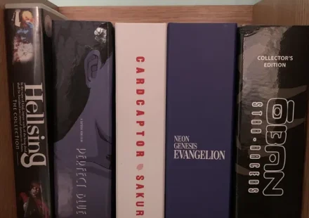 Starea curentă a Fortăreața Otaku - Ianuarie 2026