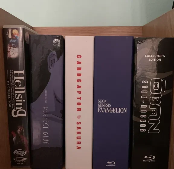 Starea curentă a Fortăreața Otaku - Ianuarie 2026